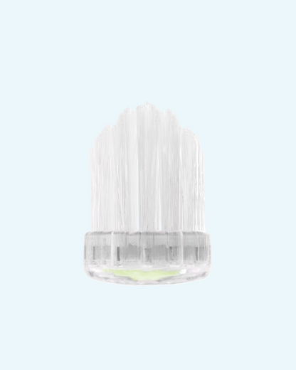 crystal collection toothbrushes