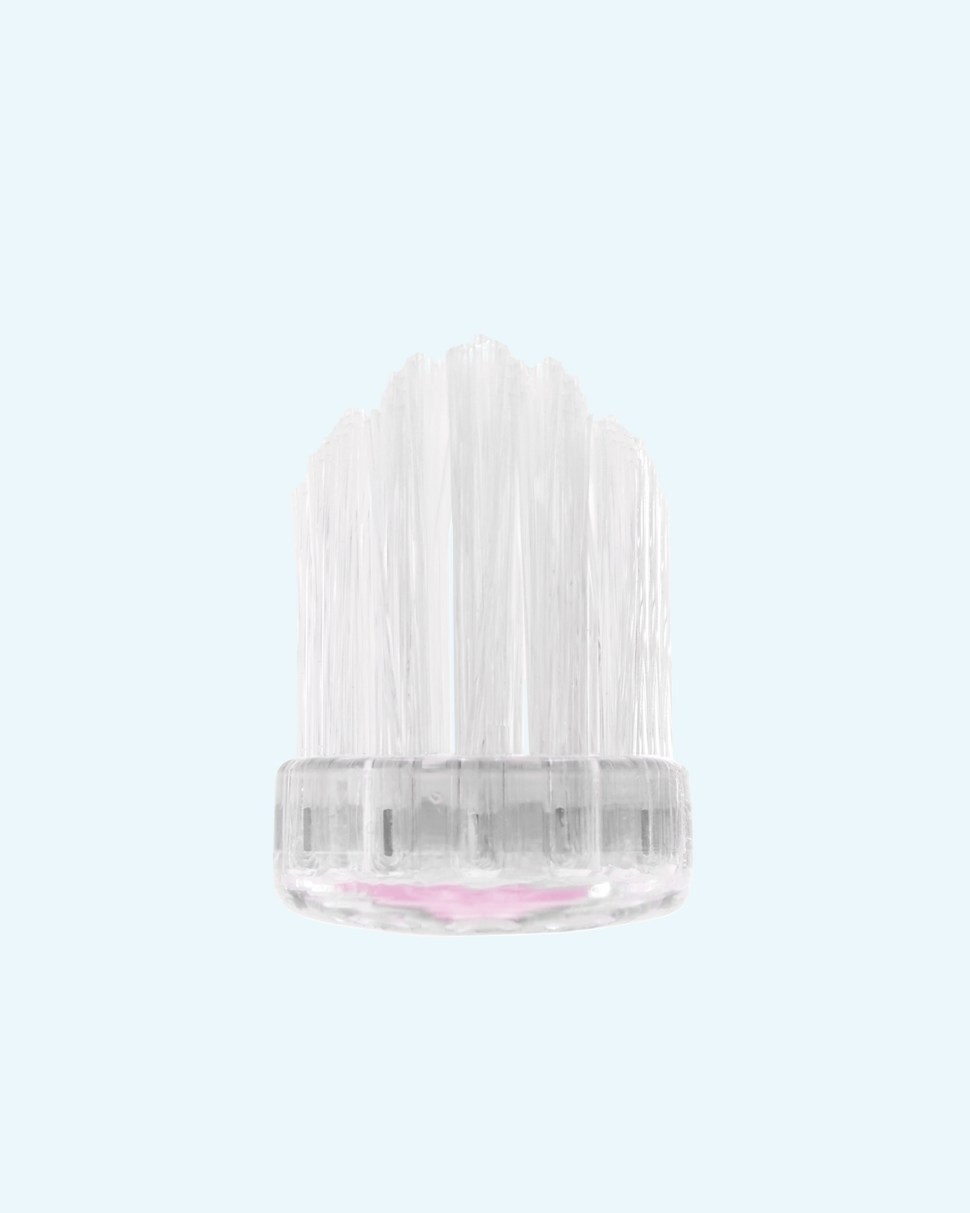 crystal collection toothbrushes