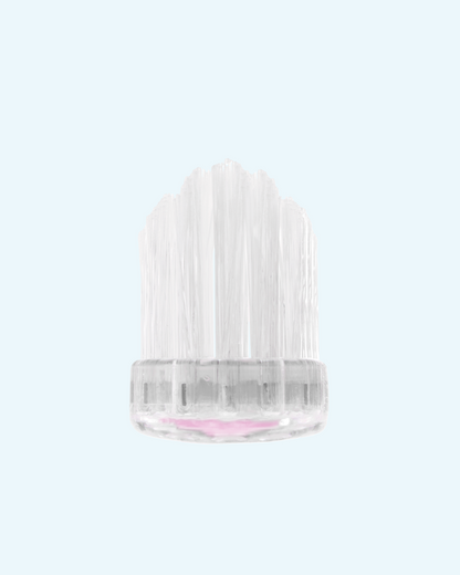 crystal collection toothbrushes