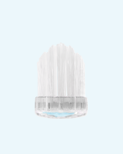 crystal collection toothbrushes