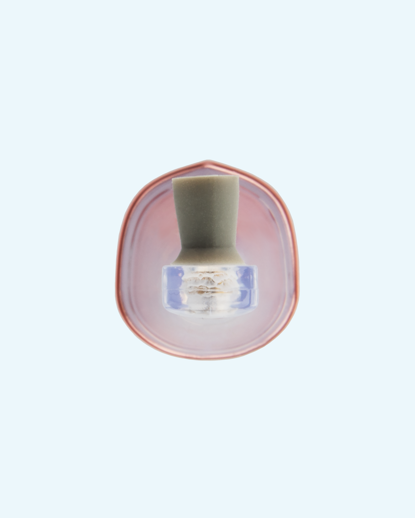 zina45™ polishing head